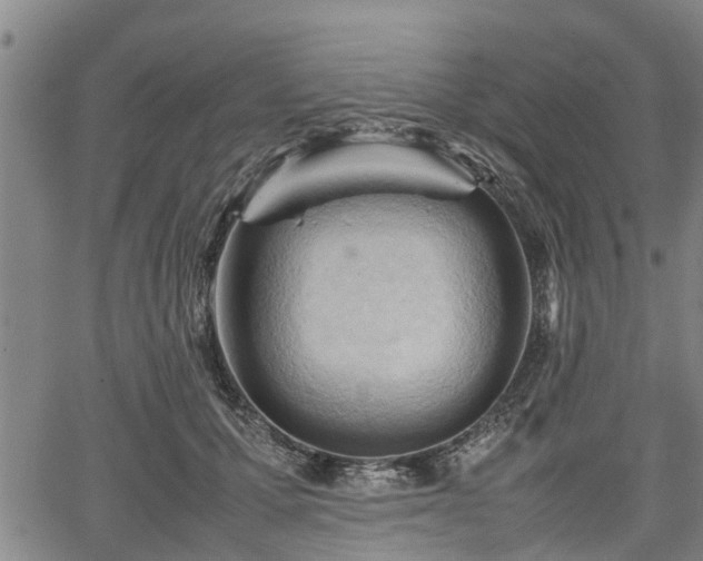 X0000064750607200602131228