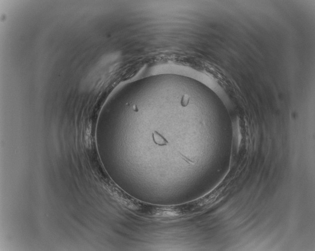 X0000064750610200602131228