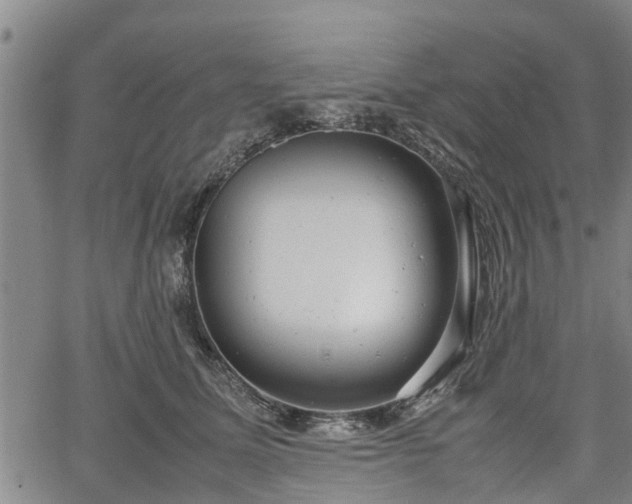 X0000064750611200602131228