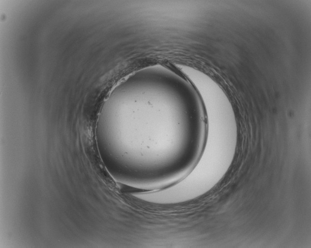 X0000064750613200602131228