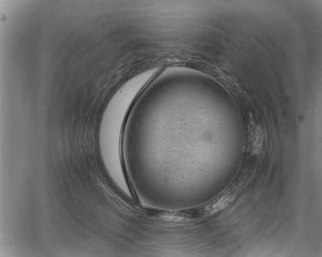 X0000064750614200602131228