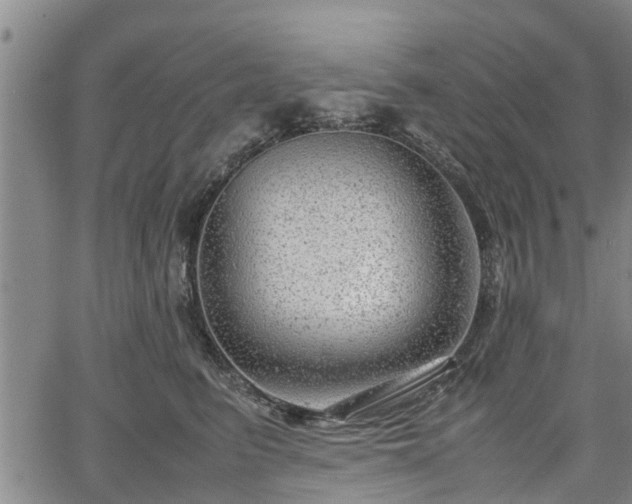 X0000064750615200602131228