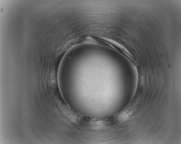 X0000064750620200602131228