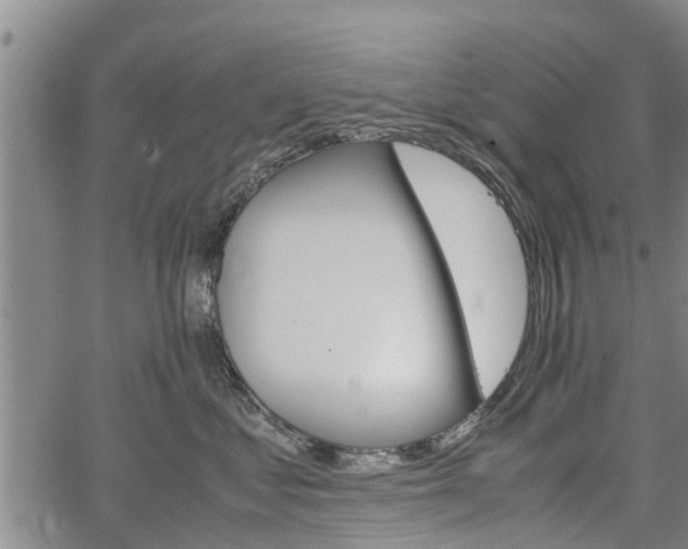 X0000064750621200602131228