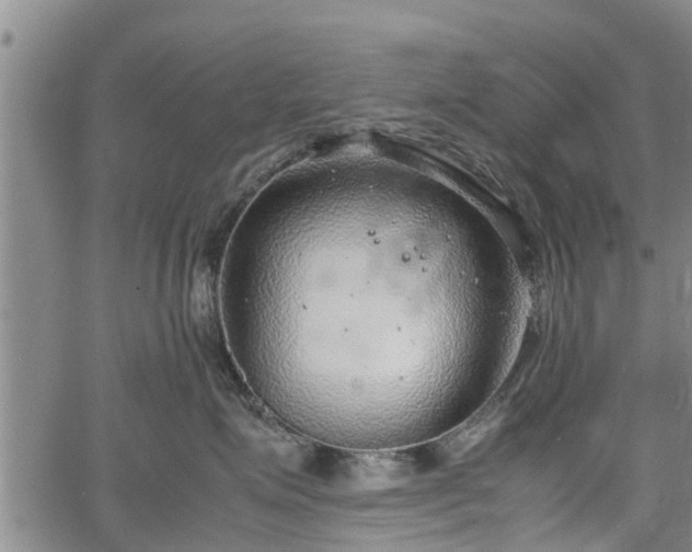 X0000064750623200602131228