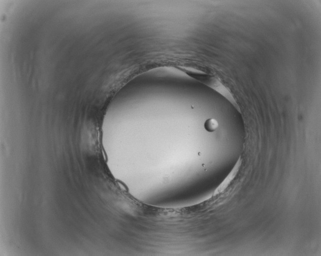 X0000064750624200602131228