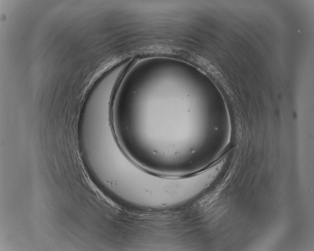 X0000064750625200602131227