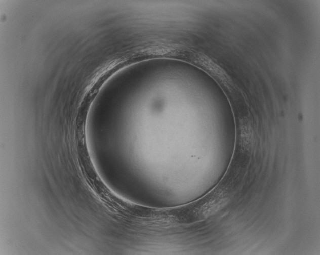 X0000064750626200602131227