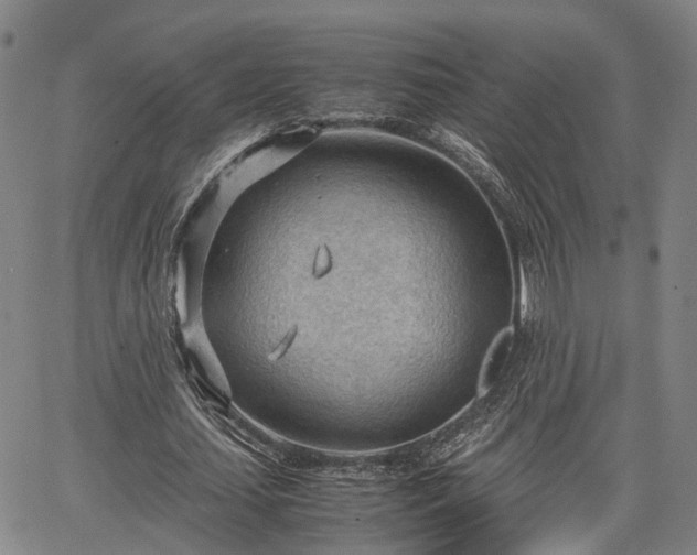 X0000064750627200602131227