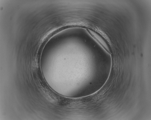 X0000064750628200602131227