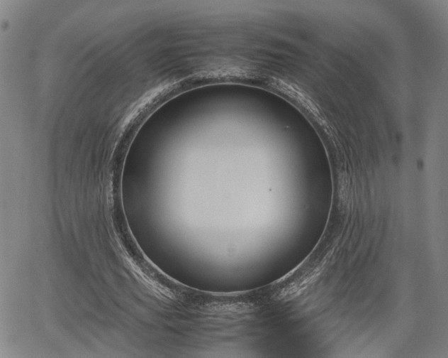 X0000064750629200602131227