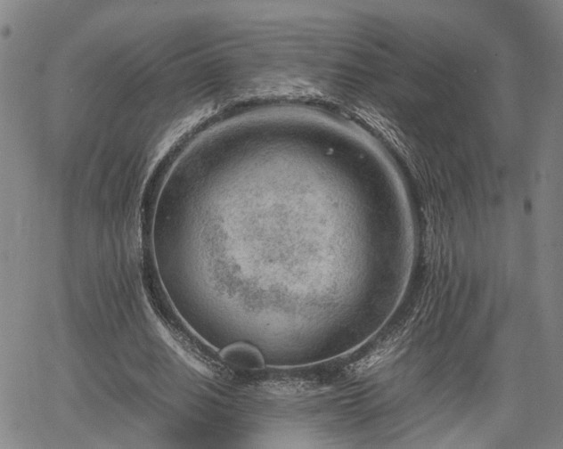 X0000064750630200602131227