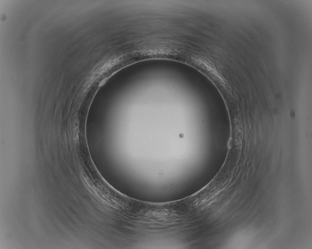 X0000064750631200602131227