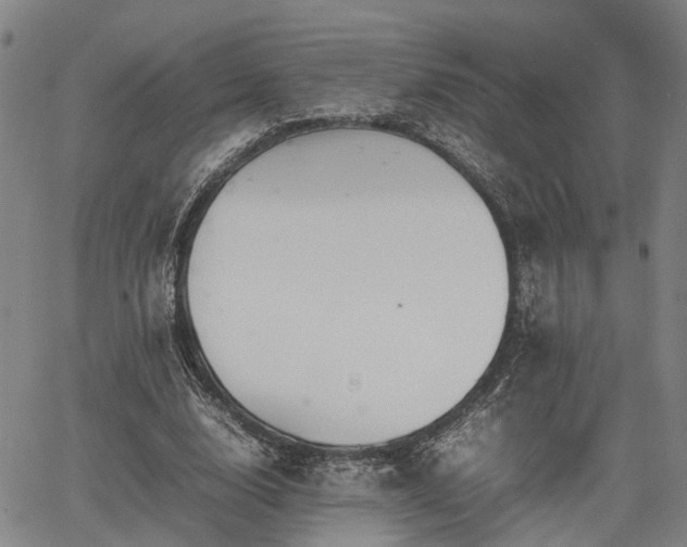 X0000064750632200602131227