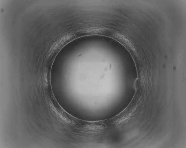 X0000064750633200602131227