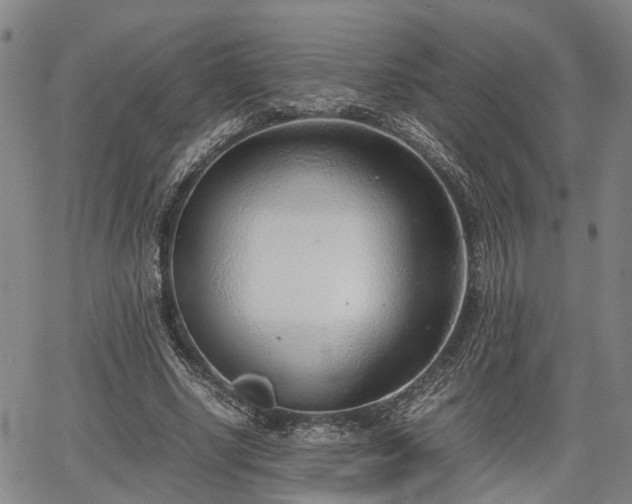 X0000064750634200602131227