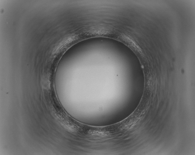 X0000064750635200602131227