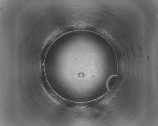 X0000064750638200602131227