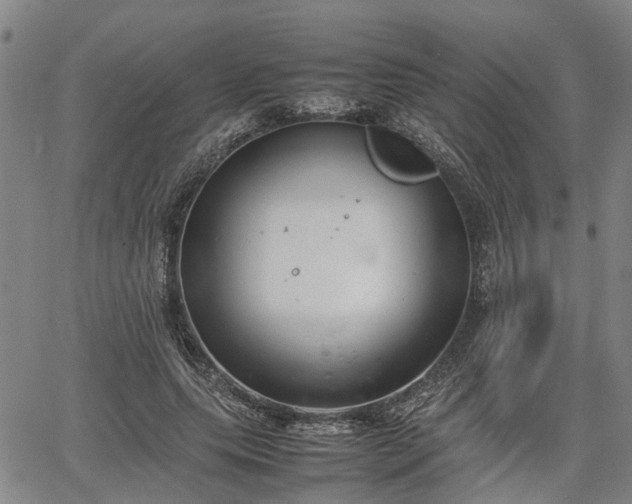 X0000064750639200602131227