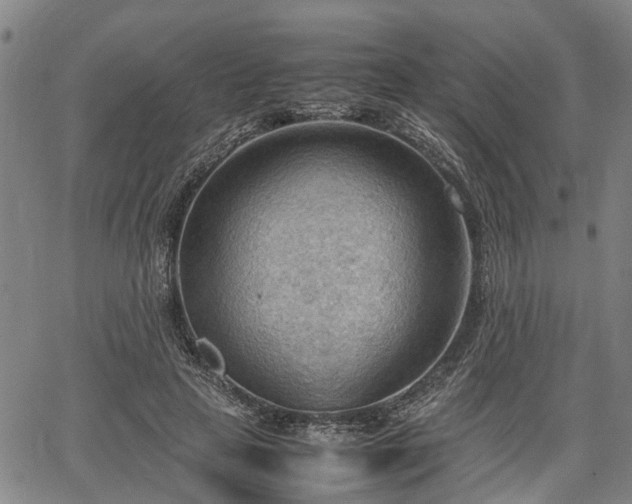 X0000064750641200602131227