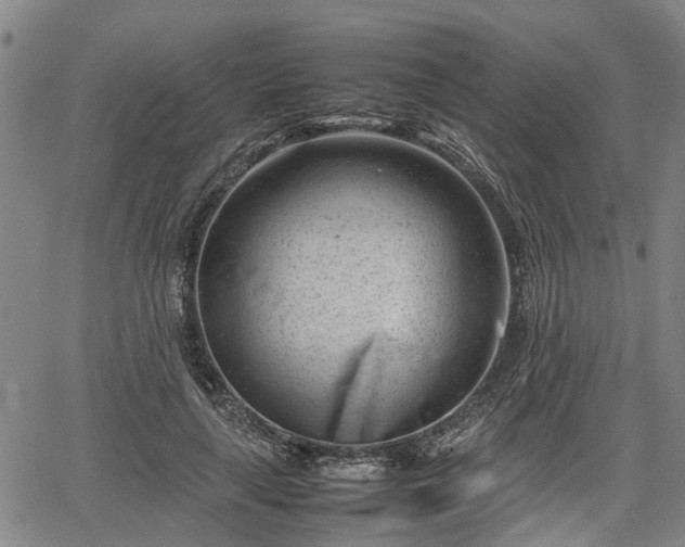 X0000064750643200602131227