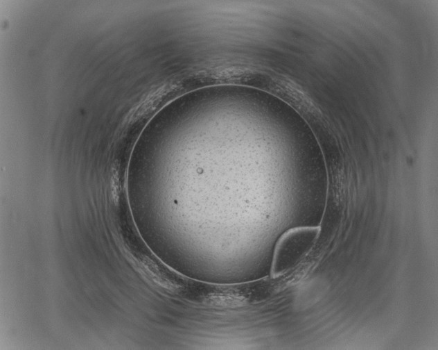 X0000064750644200602131227