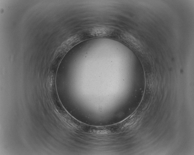 X0000064750645200602131227