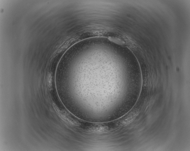 X0000064750646200602131227