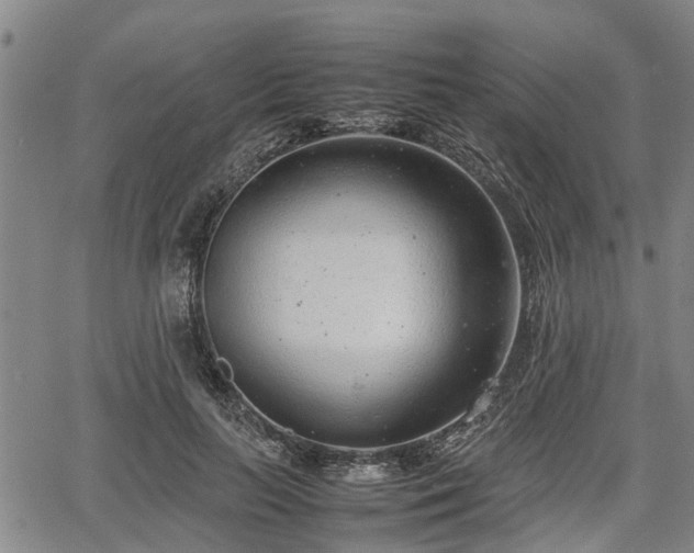 X0000064750647200602131227