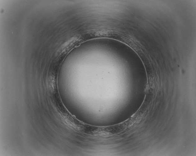 X0000064750648200602131228