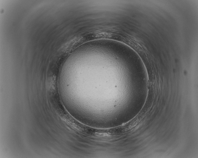 X0000064750649200602131228