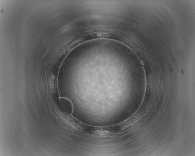 X0000064750650200602131228