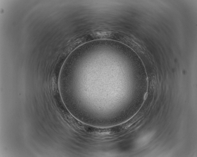 X0000064750651200602131228