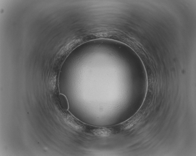 X0000064750652200602131228