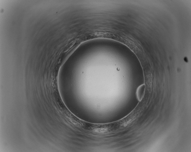 X0000064750653200602131228