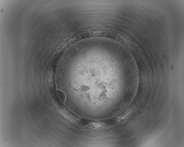 X0000064750654200602131228