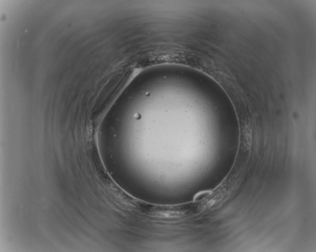 X0000064750657200602131228