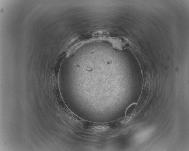 X0000064750659200602131228