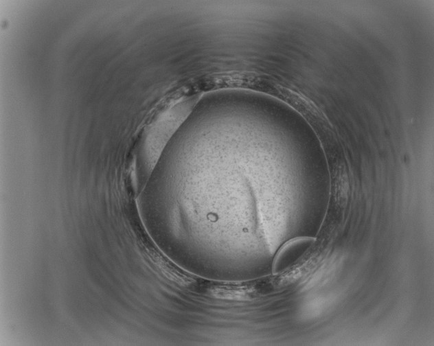 X0000064750661200602131228