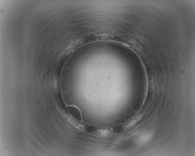 X0000064750662200602131228