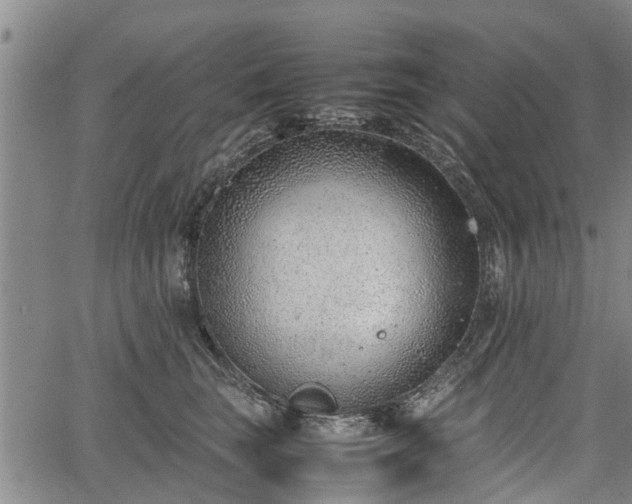 X0000064750663200602131228