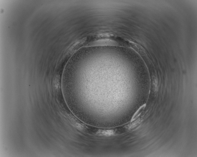 X0000064750665200602131228