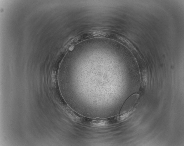 X0000064750667200602131228