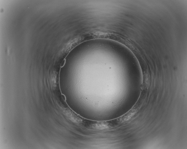 X0000064750668200602131228