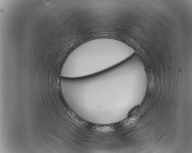 X0000064750669200602131228