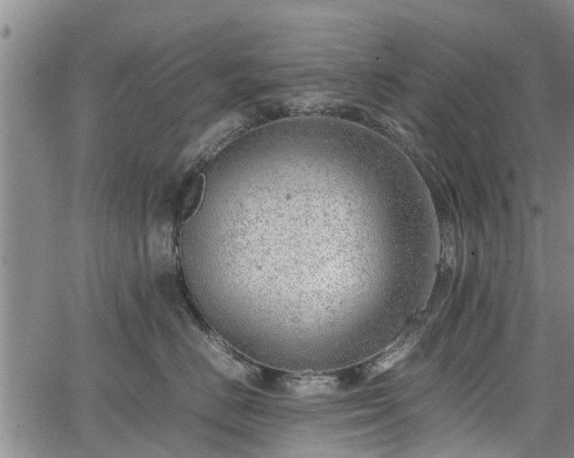 X0000064750670200602131228