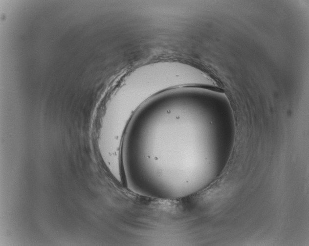 X0000064750672200602131228