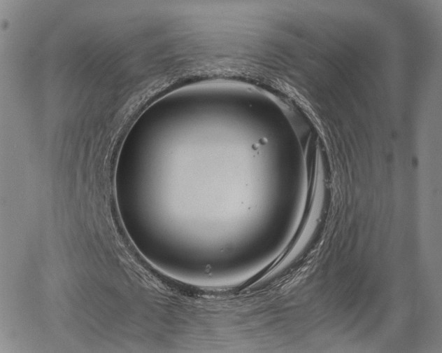 X0000064750673200602131227