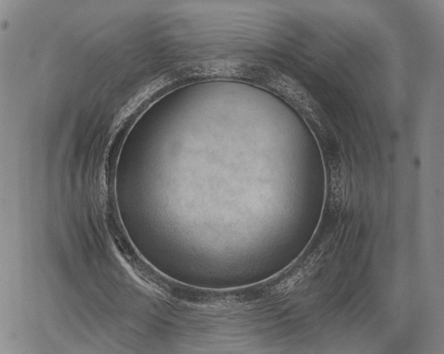 X0000064750674200602131227