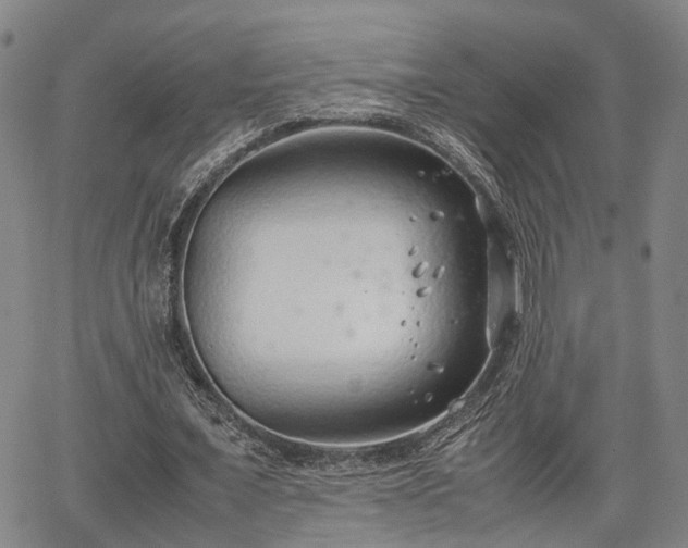 X0000064750675200602131227